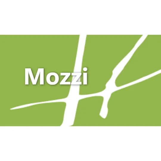 Ciekawe projekty - Mozzi